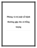 Phòng và trị một số bệnh thường gặp cho cá bống tượng