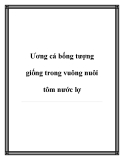 Ương cá bống tượng giống trong vuông nuôi tôm nước lợ