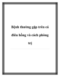 Bệnh thường gặp trên cá điêu hồng và cách phòng trị