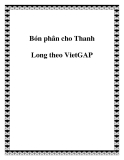 Bón phân cho Thanh Long theo VietGAP