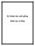 Kỹ thuật sản xuất giống nhân tạo cá lăng