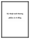 Kỹ thuật nuôi thương phẩm cá rô đồng