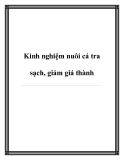 Kinh nghiệm nuôi cá tra sạch, giảm giá thành