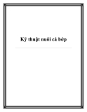 Kỹ thuật nuôi cá bớp