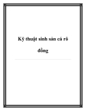 Kỹ thuật sinh sản cá rô đồng