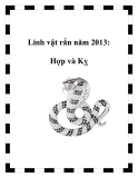 Linh vật rắn năm 2013: Hợp và Kỵ