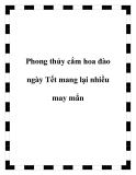 Phong thủy cắm hoa đào ngày Tết mang lại nhiều may mắn