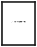 Cá mú chấm cam