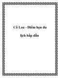 Cổ Loa - Ðiểm hẹn du lịch hấp dẫn