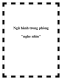 Ngũ hành trong phòng "nghe nhìn"