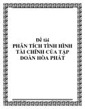 Luận văn đề tài phân tích tình hình tài chính của công ty Tân Hòa Phát