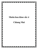 Muôn hoa khoe sắc ở Chiang Mai