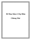 Đi Mua Sắm ở Chợ Đêm Chieng Mai