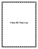 Chùa Hổ Thái Lan