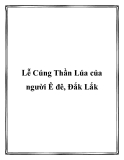 Lễ Cúng Thần Lúa của người Ê đê, Đắk Lắk