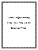 4 mùa tuyệt đẹp trong Công viên Trung tâm nổi tiếng New York