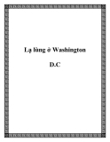 Lạ lùng ở Washington D.C