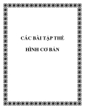 CÁC BÀI TẬP THỂ HÌNH CƠ BẢN