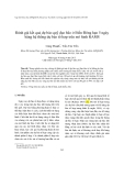 Báo cáo "Đánh giá kết quả dự báo quỹ đạo bão ở Biển Đông hạn 5 ngày bằng hệ thống dự báo tổ hợp trên mô hình RAMS "