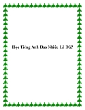 Học Tiếng Anh Bao Nhiêu Là Đủ?