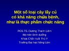 Một số loại cây lấy củ có khả năng chữa bệnh, như là thực phẩm chức năng  (TS. Dương Thanh Liêm)