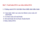 Tái bản, sữa chữa DNA