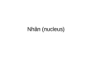 Nhân (nucleus)