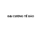 Đại cương tế bào