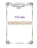 Tiểu luận: Các biện pháp hạn chế rủi ro trong hoạt động ngân hàng tại Việt Nam