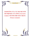 ẢNH HƯỞNG CỦA CÁC MẬT ĐỘ NUÔI KẾT HỢP HÀU CỬA SÔNG (Crassostrea rivularis) VỚI TÔM THẺ CHÂN TRẮNG (Penaeus vannamei)