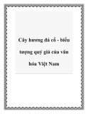 Cây hương đá cổ - biểu tượng quý giá của văn hóa Việt Nam