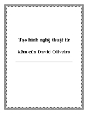 Tạo hình nghệ thuật từ kẽm của David Oliveira