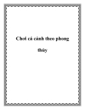 Chơi cá cảnh theo phong thủy