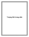 Vượng khí trong nhà