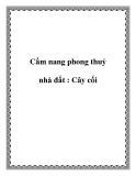 Cẩm nang phong thuỷ nhà đất : Cây cối