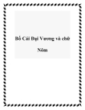 Bố Cái Đại Vương và chữ Nôm