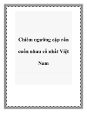 Chiêm ngưỡng cặp rắn cuốn nhau cổ nhất Việt Nam