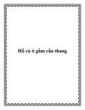 Hồ cá ở gầm cầu thang