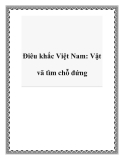 Điêu khắc Việt Nam: Vật vã tìm chỗ đứng