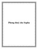 Phong thuỷ cho Sopha