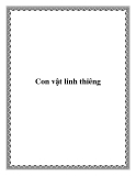 Con vật linh thiêng