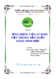 Đề tài: ỨNG DỤNG CỦA VI SINH VẬT TRONG SẢN XUẤT XĂNG SINH HỌC