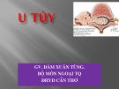 U tủy