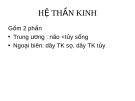 Bài giảng: Hệ thần kinh