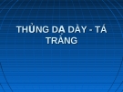 Bài giảng: Thủng dạ dày - tá tràng