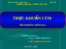 Trực khuẩn cúm