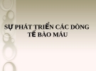 SỰ PHÁT TRIỂN CÁC DÒNG TẾ BÀO MÁU 