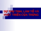 Sinh lý thụ tinh