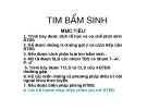 Tim bẩm sinh