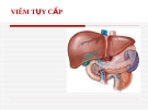 Bệnh học: Viêm tụy cấp